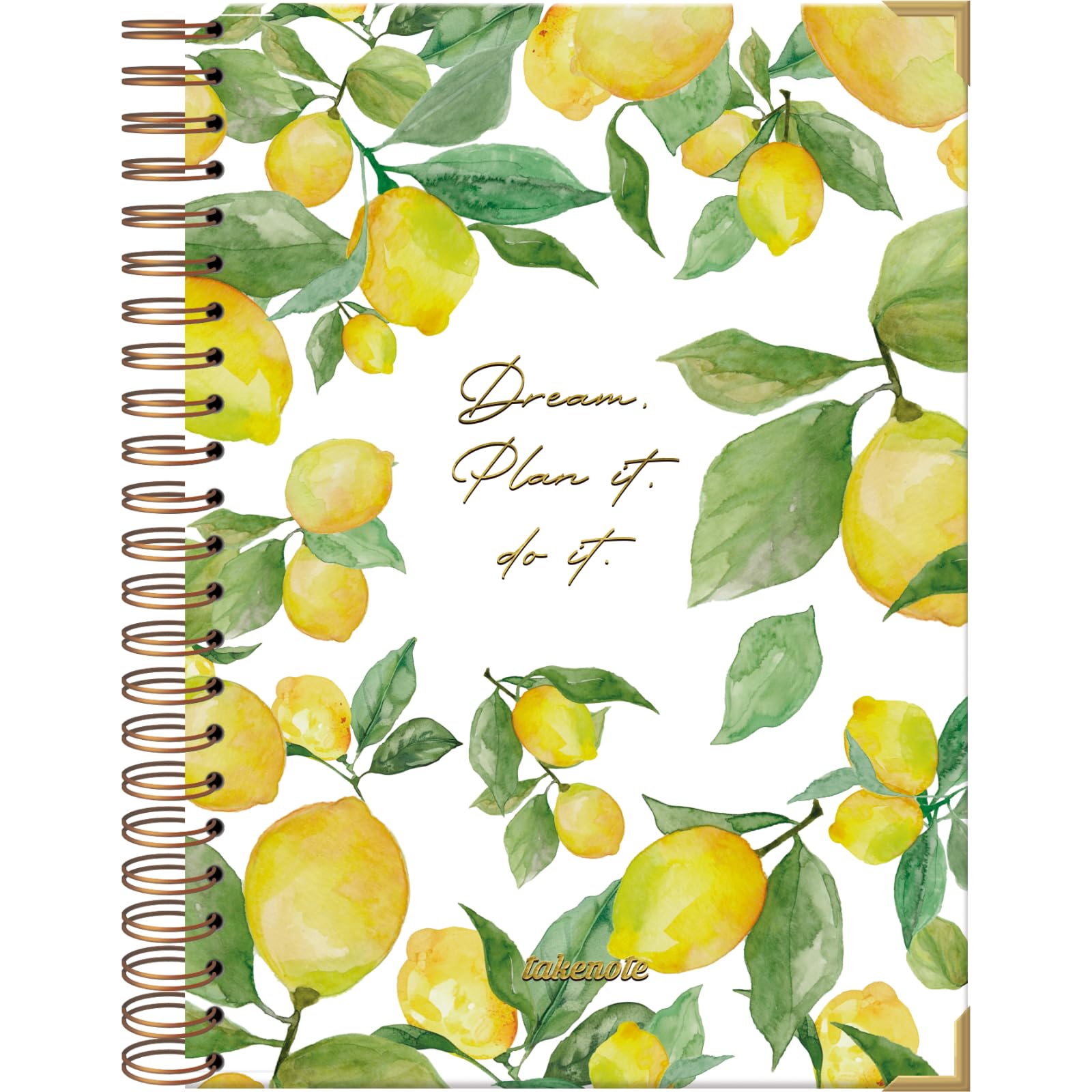 Dreambook Notebook A4 - Blank Interior, 192 White Pages, Size 21.5 x 30 cm, Hard Cover, Double Gold Spiral (Wire’o) - Takenote Agatha