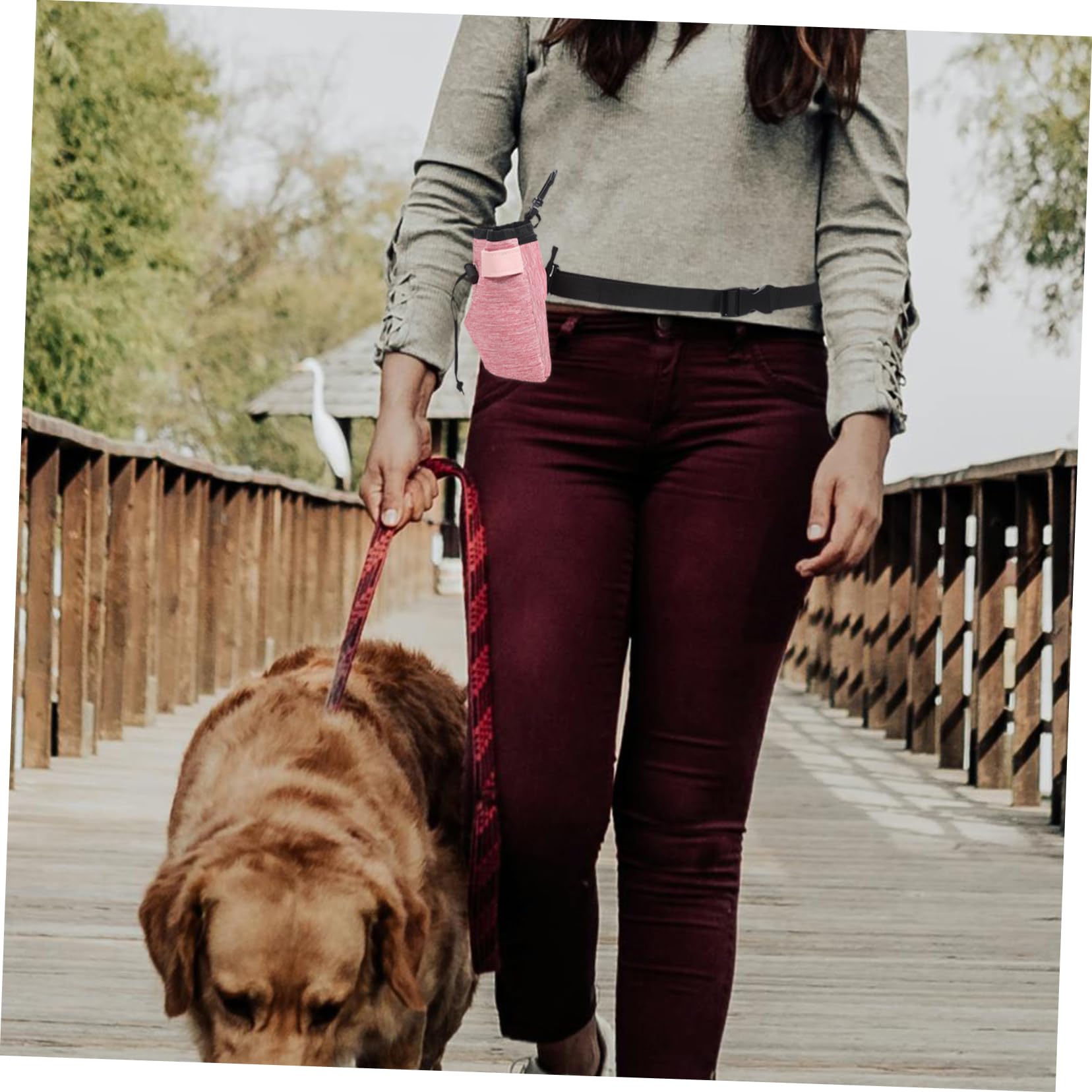 INOOMP 4piezas Bolsa De Entrenamiento para Perros De Oxford Riñonera Portátil para Snacks y Accesorios para Paseos y Adiestramiento De Cachorros
