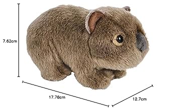 71cNEYSRTLL._UF350,350_QL80_.jpg