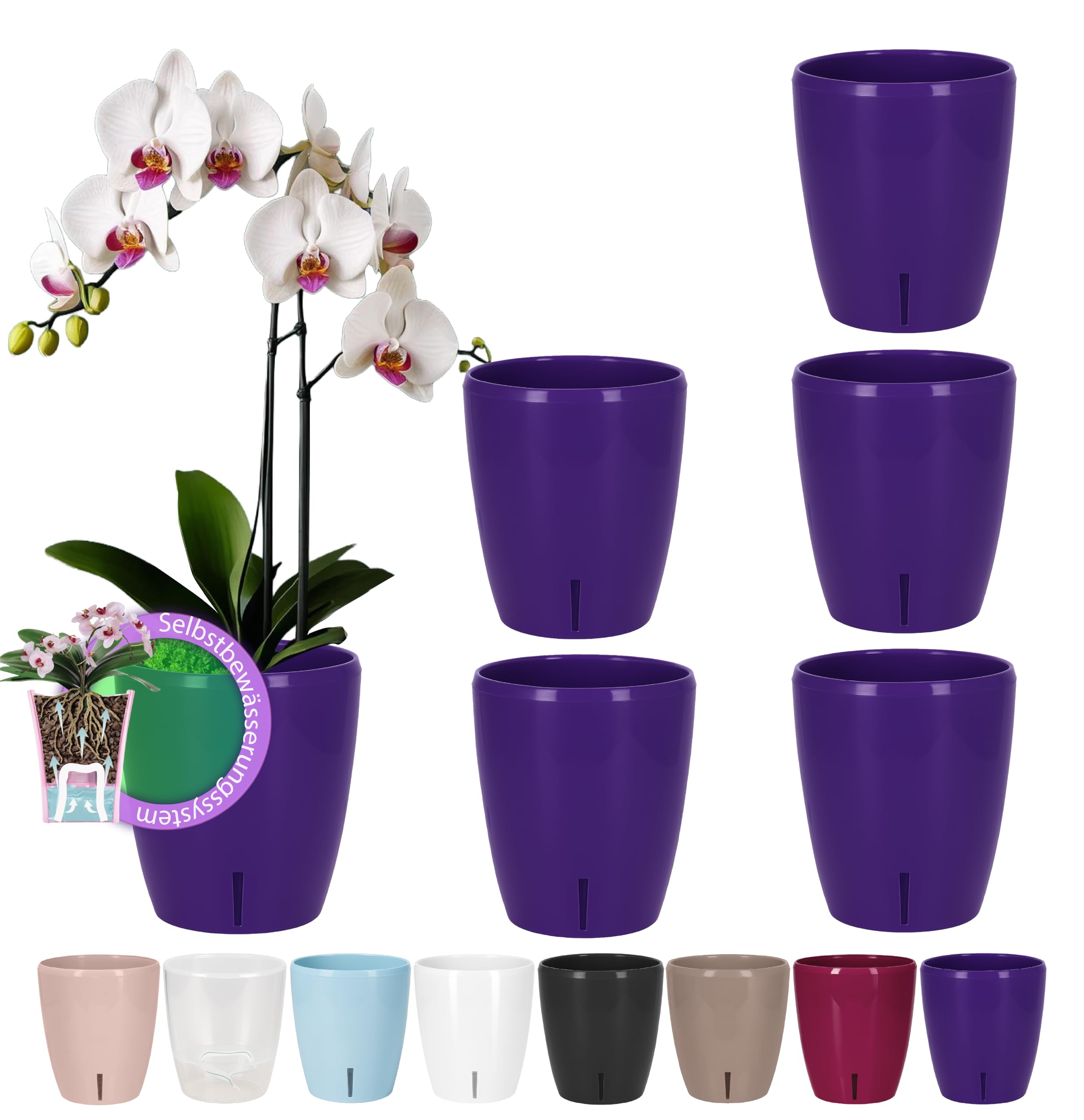 Santino Maceta para Orquídeas Ø 12cm Maceta Autorriego con Sistema de Mecha e Indicador de Nivel de Agua para Interior (Ø 12cm - 1,3L - Transparente) — view 27