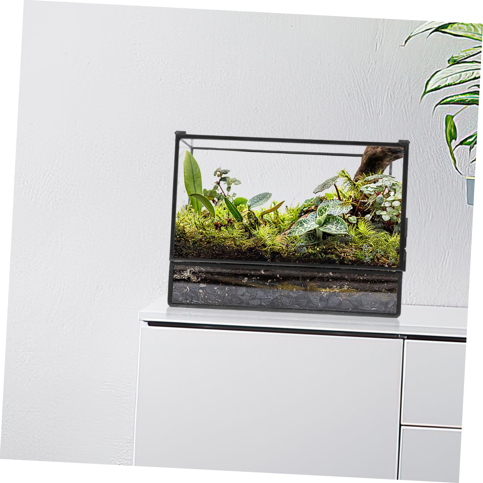 Terrario in Vetro Geometrico per Piante, Contenitore Decorativo