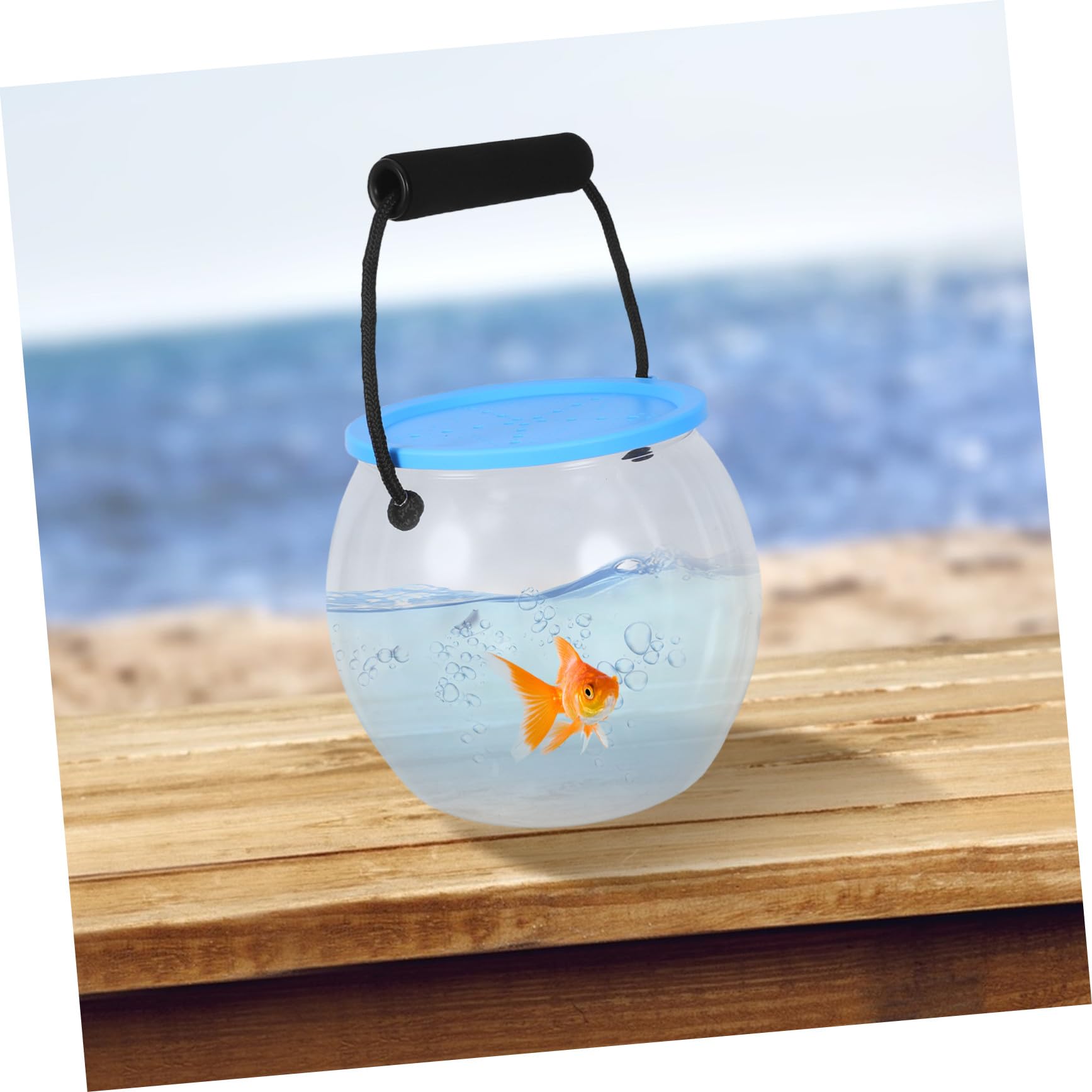 2 Stück Kleine Transparente Kunststoff fischschale mit Sicherem Deckel und Traggriff Tragbarer Aquarium Eimer für Fische Schildkröten und Wasseraufbewahrung Beim Angeln Strand See
