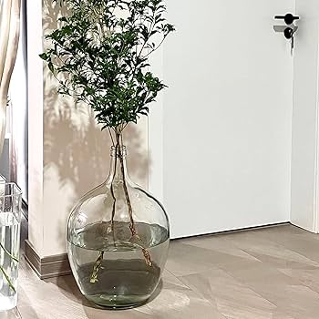 Amazon.co.jp: 21インチ 特大フロアガラス花瓶 背の高いパンパスグラス