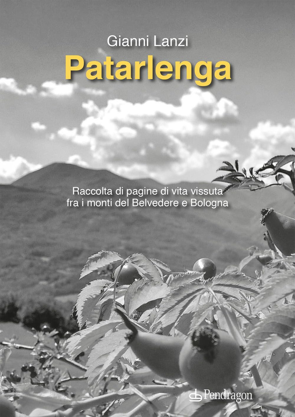 Patarlenga. Raccolta Di Pagine Di Vita Vissuta Fra I Monti Belvedere E Bologna - 4