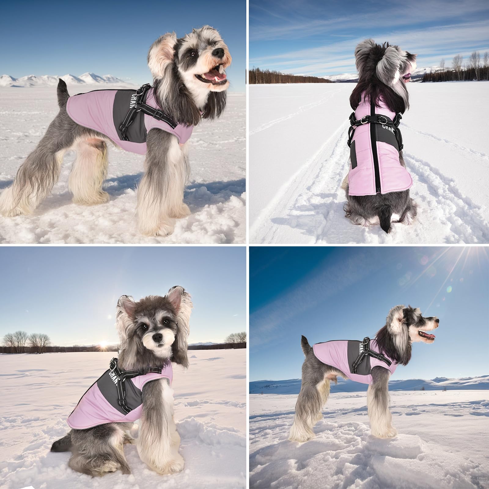 Lairle Waterproof Winter Dog Coat with Built-In Reflective Adjustable Harness - 2 in 1 Jacket for Small Medium, Large Dogs (8 Colors) - Image 4