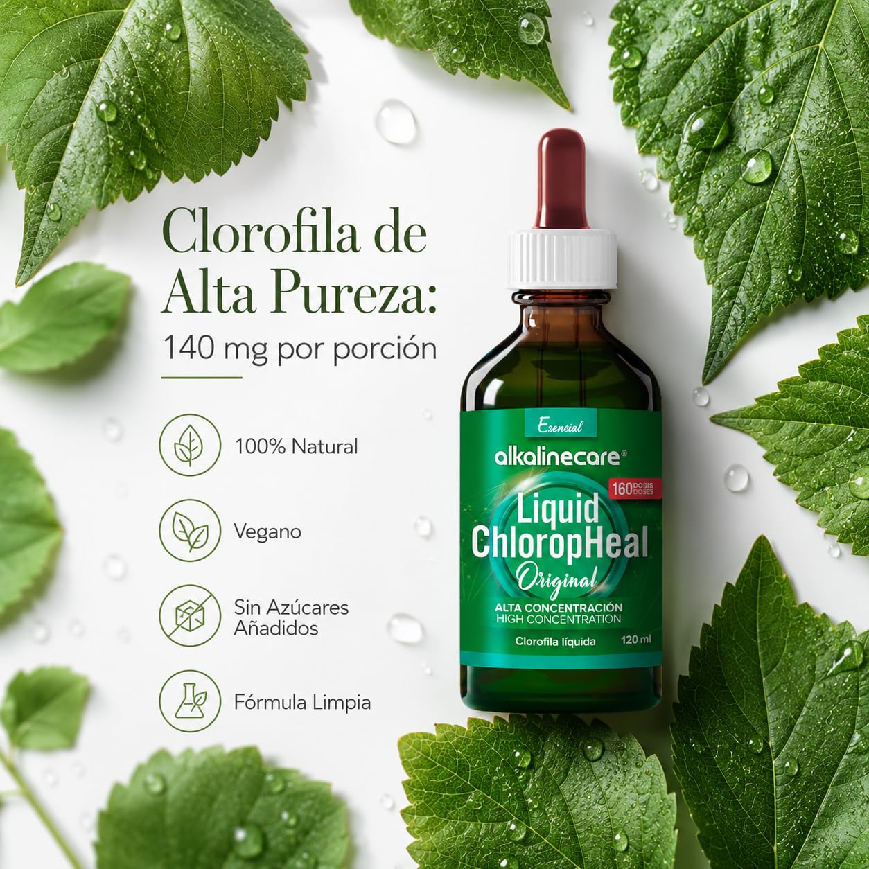 Chlorofila liquida di foglia di morera naturale al 100% - Alkaline Care