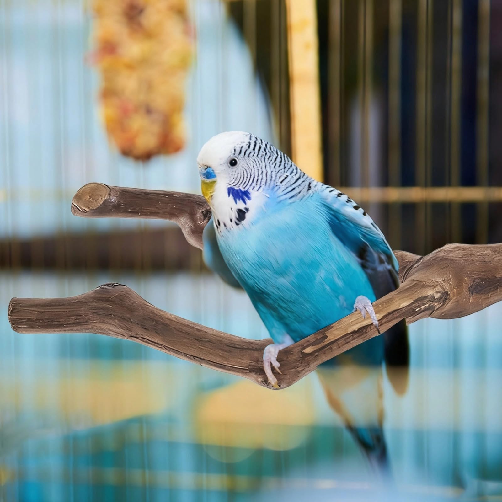 Vogel-Sitzstangen aus natürlichem Traubenholz, vielseitiges Baumzweig-Design für Papageienständer, kompakte Übungsstangen für Vögel, inklusive runden Plattformen und Gabelholzstümpfen, 6-teilig