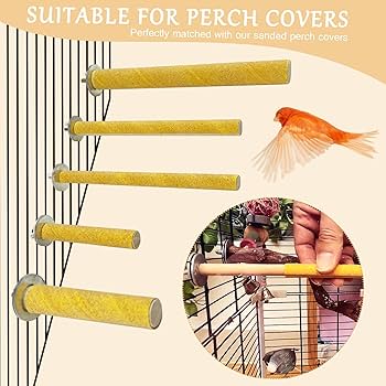 Amazon | S&X 鳥の止まり木 5個 異なる幅と長さの天然木の止まり