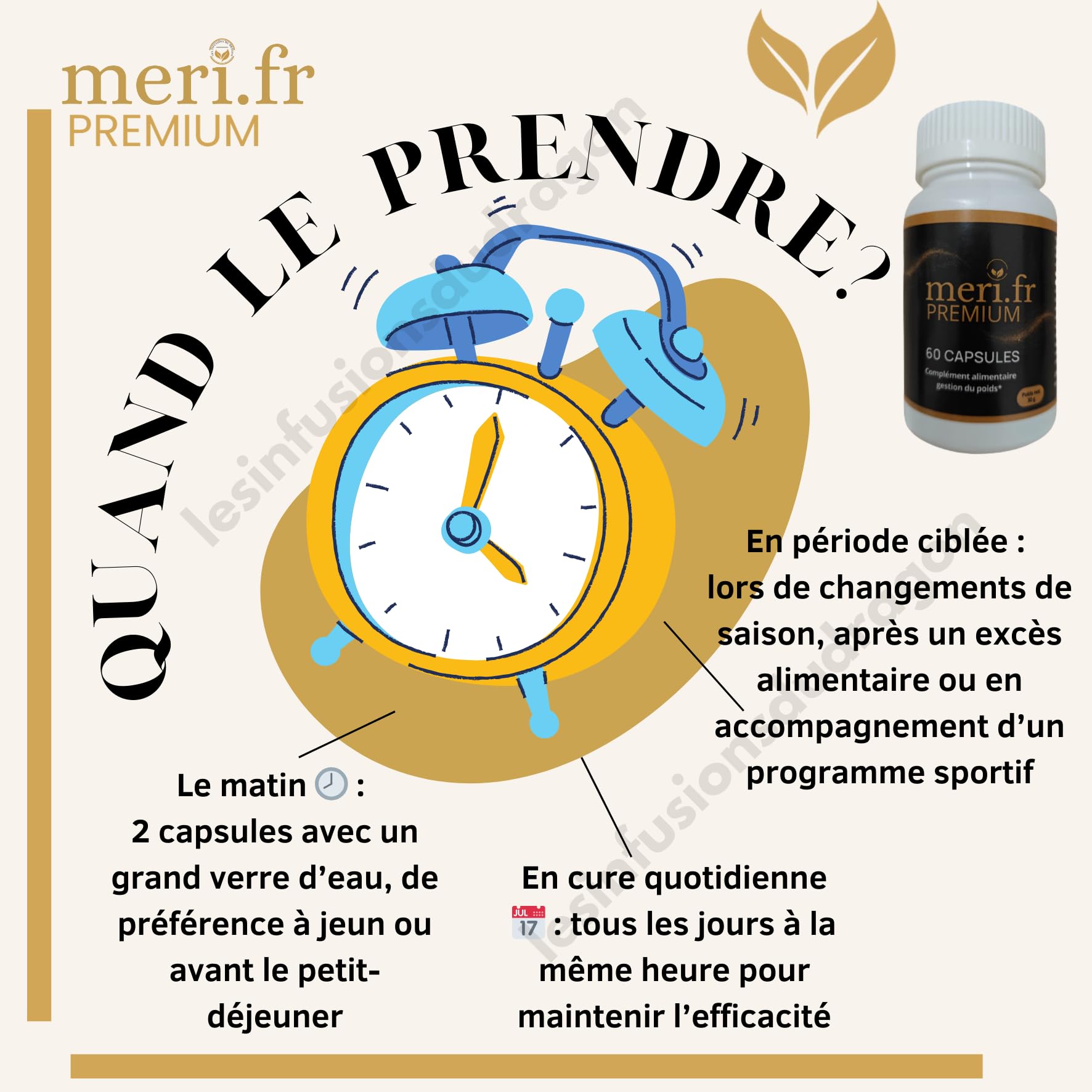 Meri.fr PREMIUM – Nouvelle Formule Efficace à la L-Carnitine | 60 Gélules Naturelles | Aide au Contrôle de l’Appétit & Métabolisme des Graisses | Expédié depuis la France