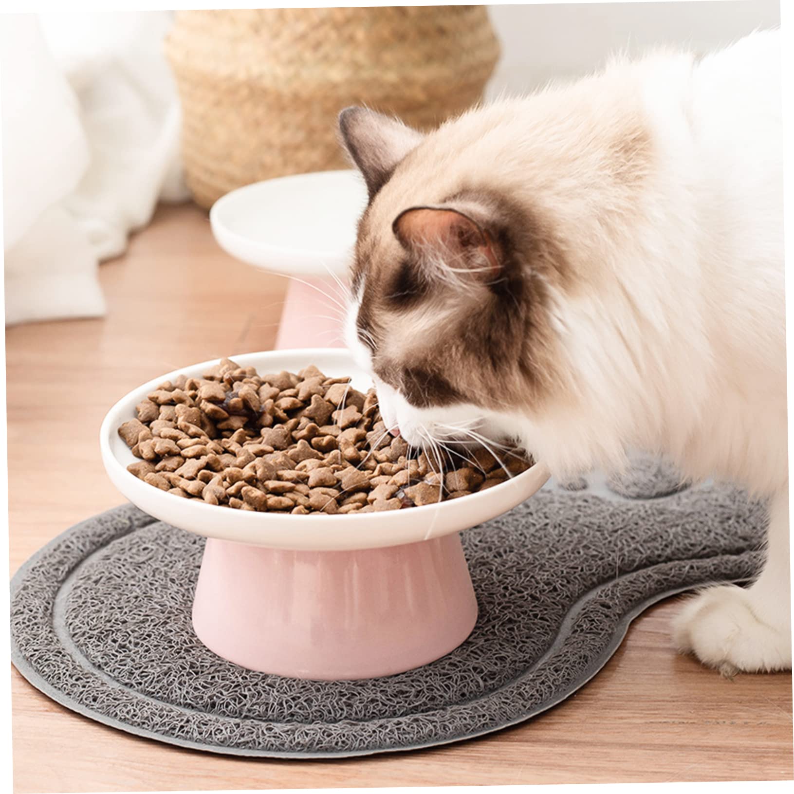 Katzennapf Leichter Reinigung und Nackenschutz Keramik mit Hohem Sockel und Geeignet für Fütterung von Katzen im Haus