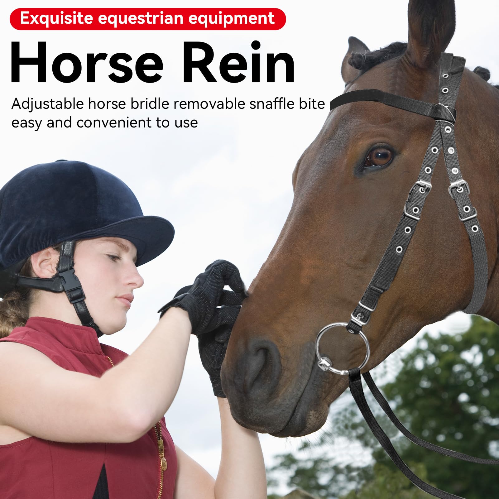 Bridon Lilly, Bridon sans Mors Horses Noir Bridon de Haute qualité Soft sans Mors Bridon Confort avec rênes
