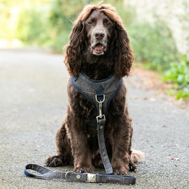 Foto 7 de 7 de HUGO & HUDSON x Hackett Correa para Perros de Tweed con asa Acolchada Suave, diseño de Espiga a Cuadros Grises