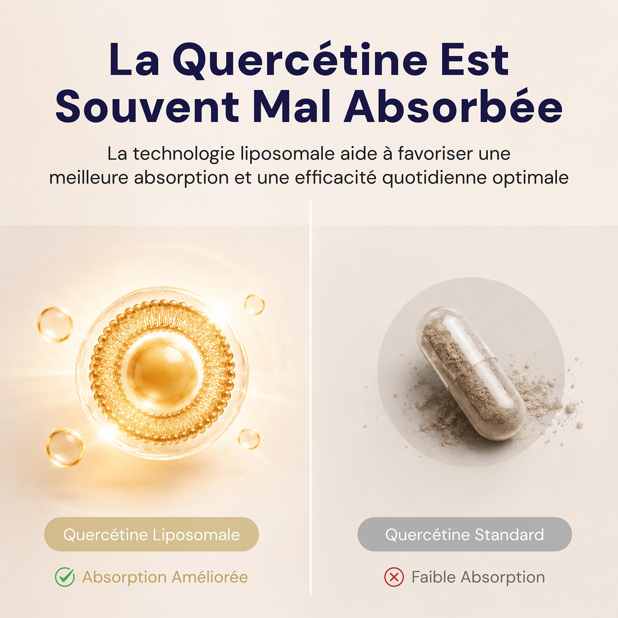 Liposomal Quercetin - Goldman Laboratories - 30 gélules végétales avec vitamine C - Antioxydant - Anti-inflammation - Immunité