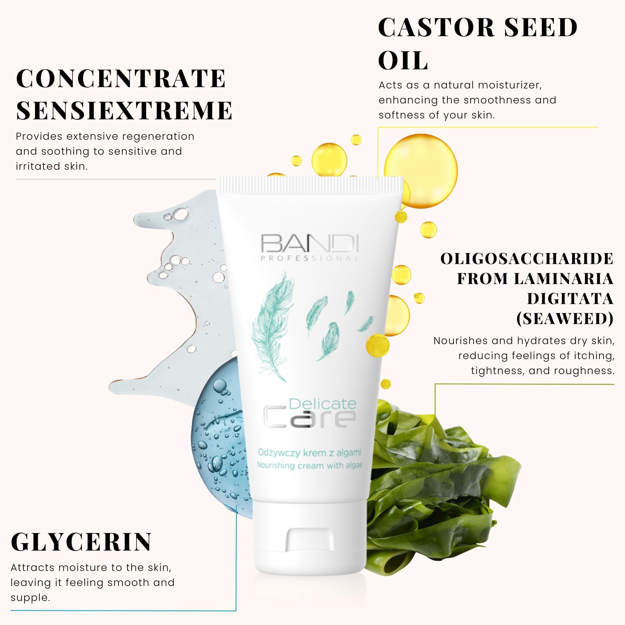 Bandi Ultra-Nourishing Face Cream for Dry Skin Hydrating Moisturiser Natural Moisturising Cream for Sensitive Skin Lightweight Formula with Laminaria Digitata and Sensiextreme - Image 4