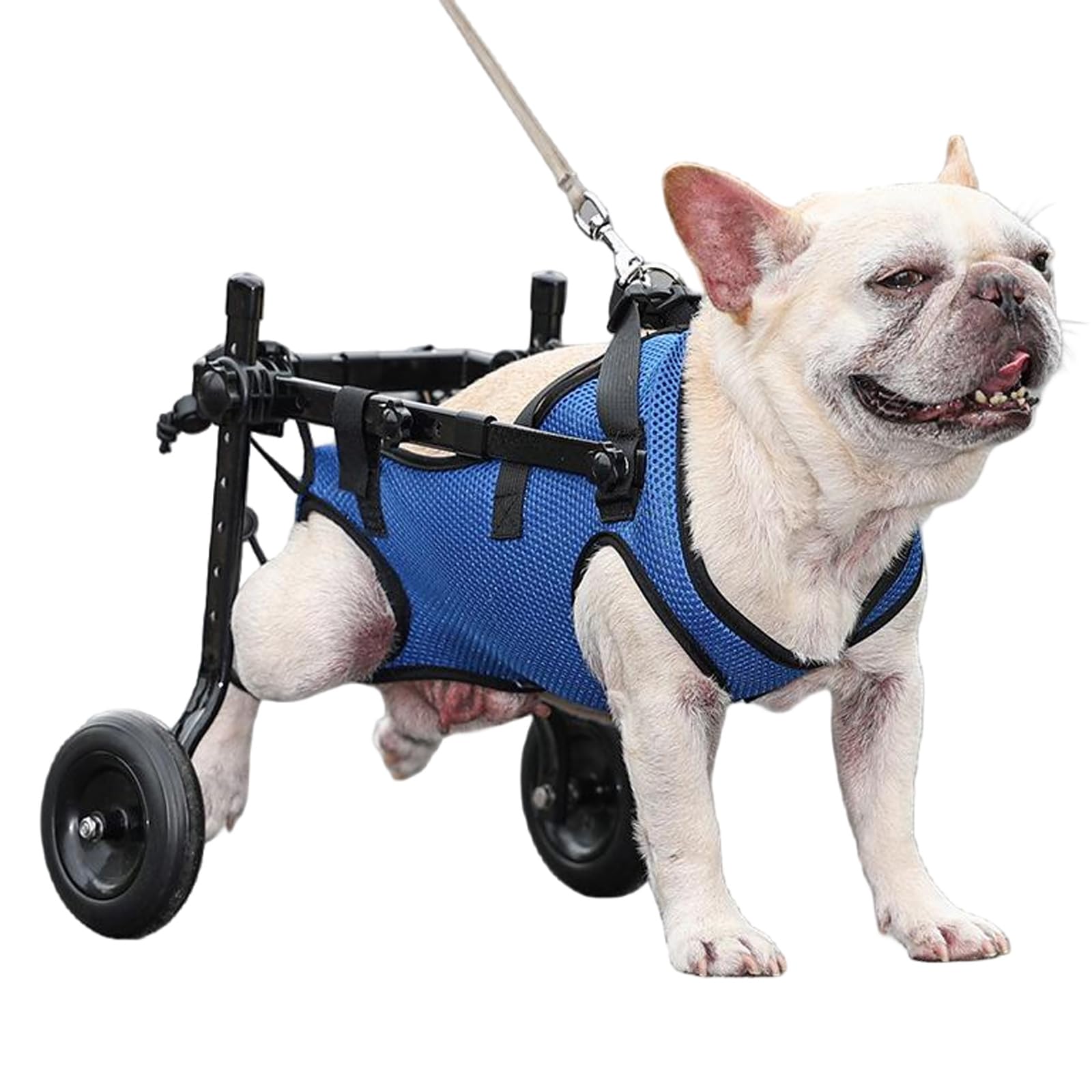 Carrello Cani Disabili Sedia a Rotelle per Cani con Supporto Completo A 2 Ruote, per Tutore per Gambe, Sedia A Rotelle per Esercizi per Animali DisabiliBlue,XS