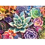 Buffalo Games - James Mertke - Simple Succulent - 1000 Piece Jigsaw Puzzle For Adults -Challenging Puzzle Perfect for Game Nights - Finished Size is 26.75 x 19.75