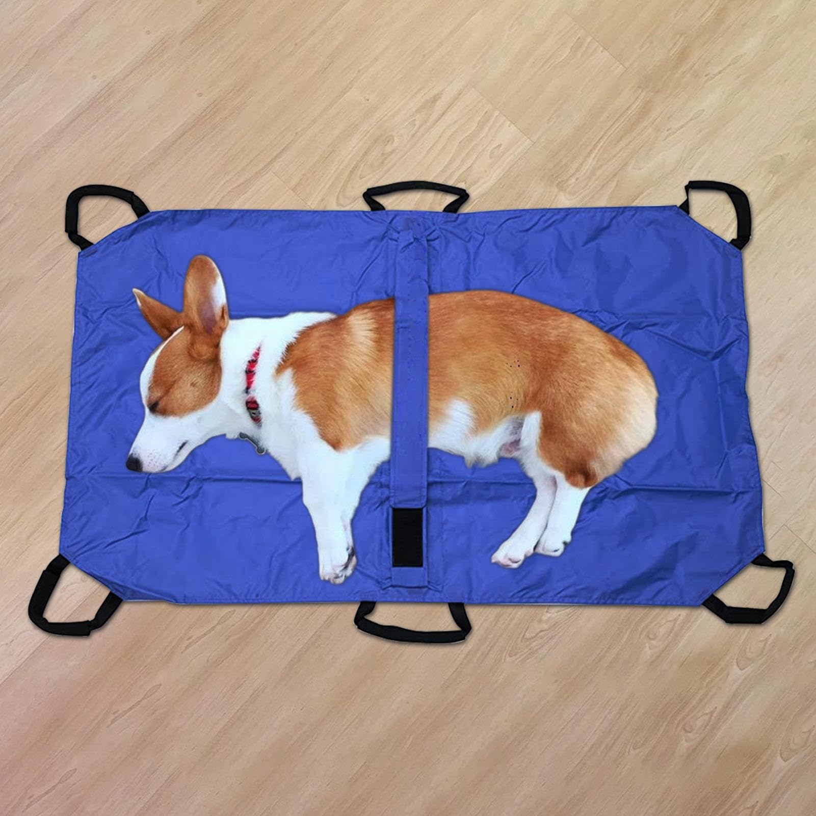 Civière de Transport pour Le Chien | Brancard Porte-Animaux | Léger pour Secours Et Levage De Patients Animaux Chiots Chats Lapins