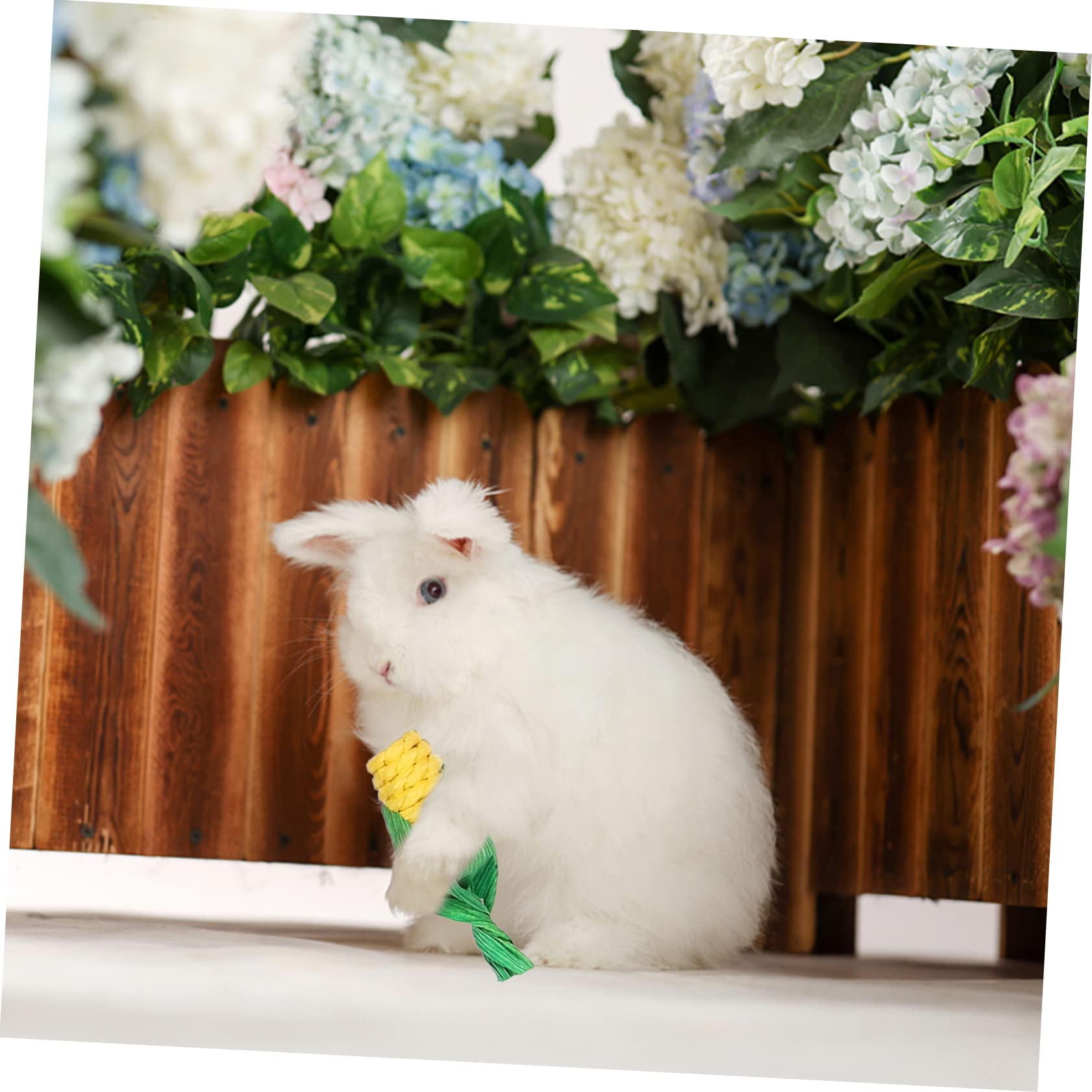 BESPORTBLE 1set Giocattoli Da Masticare Per Conigli e Cincillà Letto e Accessori Intrecciati Per Gioco e La Solitudine Degli Animali Domestici
