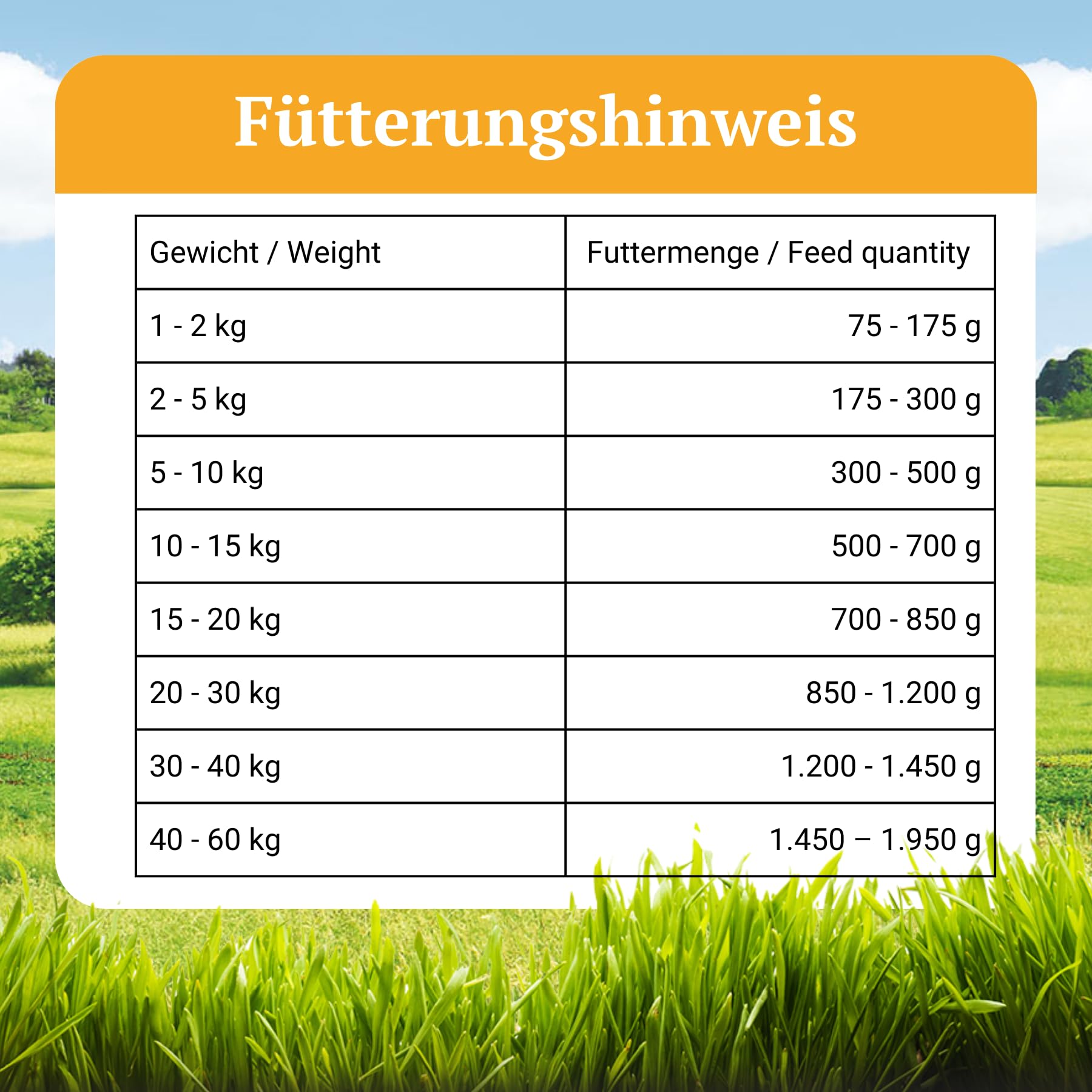 Bellfor Naturfarm-Menu hipoalergiczna mokra karma dla psów: z owadami, bez zbóż i ziemniaków, z naturalnych składników, 6 x 400 g