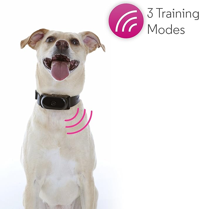 Motorola dog shock collar Clearance
