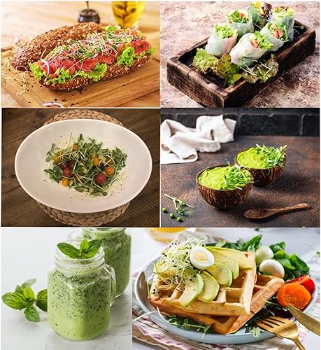 Miniatura 12 de Kit de cultivo de microgreens de riego automático, la forma más fácil de cultivar microverduras frescas en casa. Incluye bandeja reutilizable