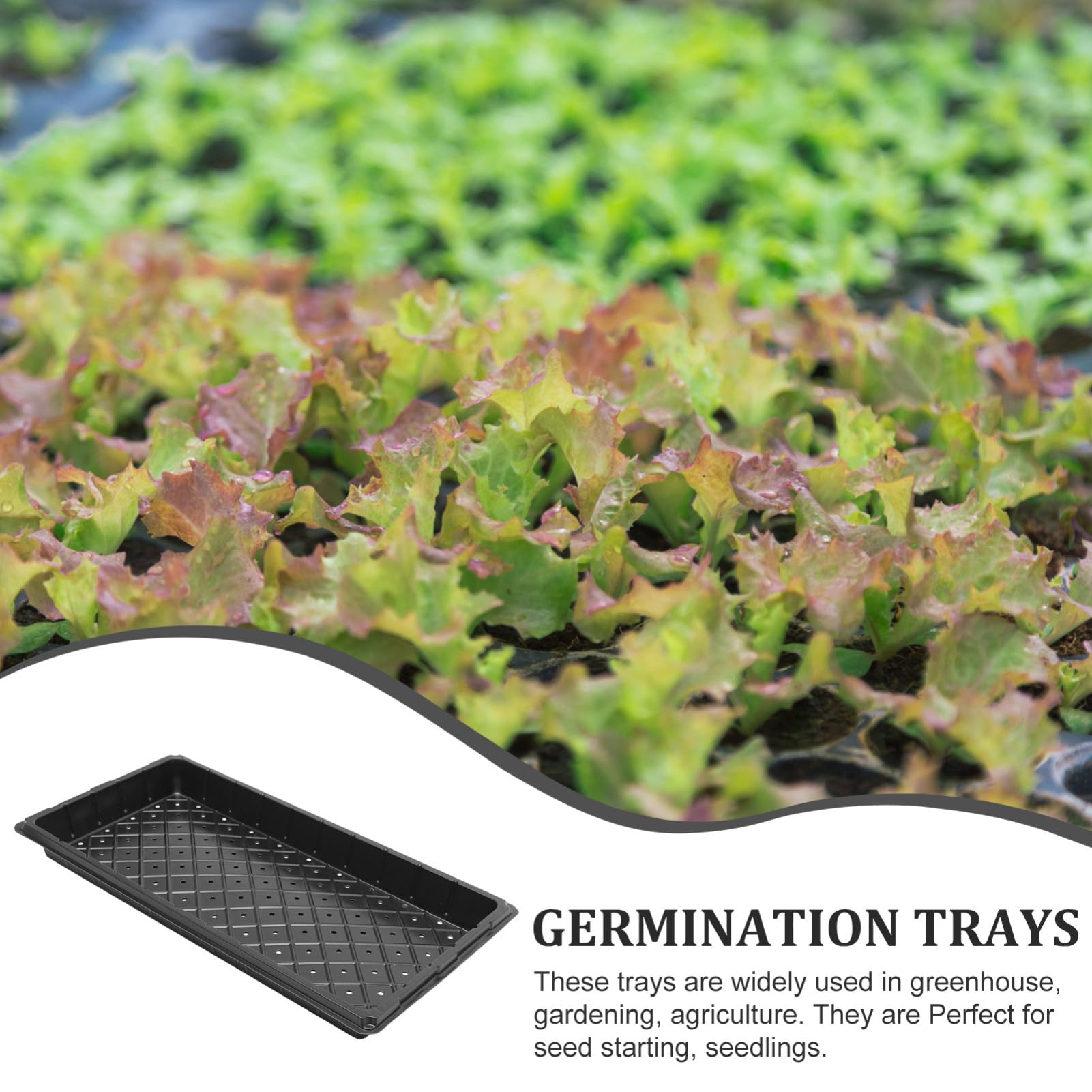 Plateau de Démarrage pour Pépinière Noir, 5 Pièces, Plastique Réutilisable | Trous, Robuste Bavure, pour Semis et Germination, Lot de Cinq, Usage Agricole