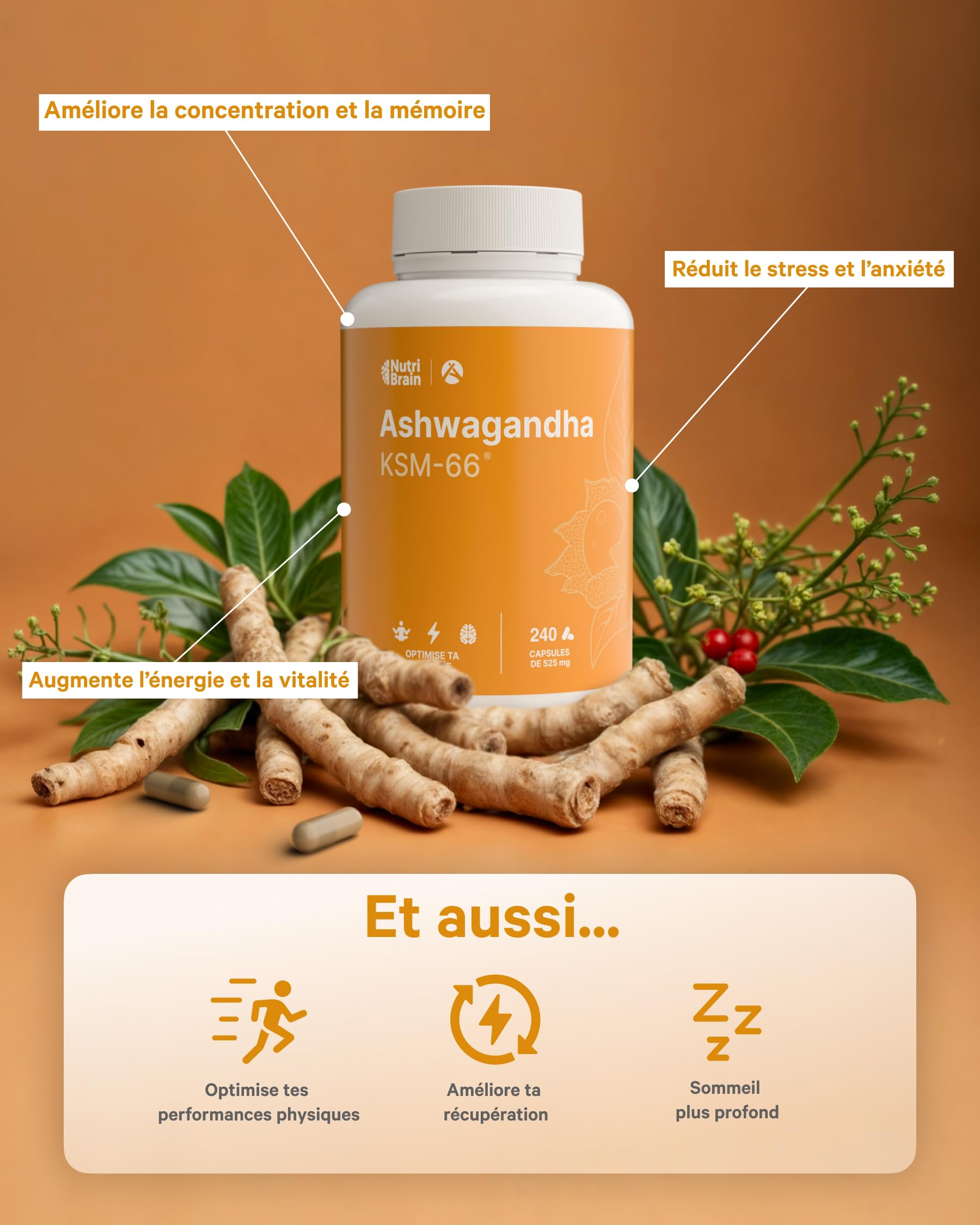 Ashwagandha KSM-66® 9000mg - 240 Gélules | Extra Fort 5% Withanolides | Anti Stress, Sommeil, Énergie | Longue Durée | Dosage Elevé: 600mg Extrait Concentré 15:1