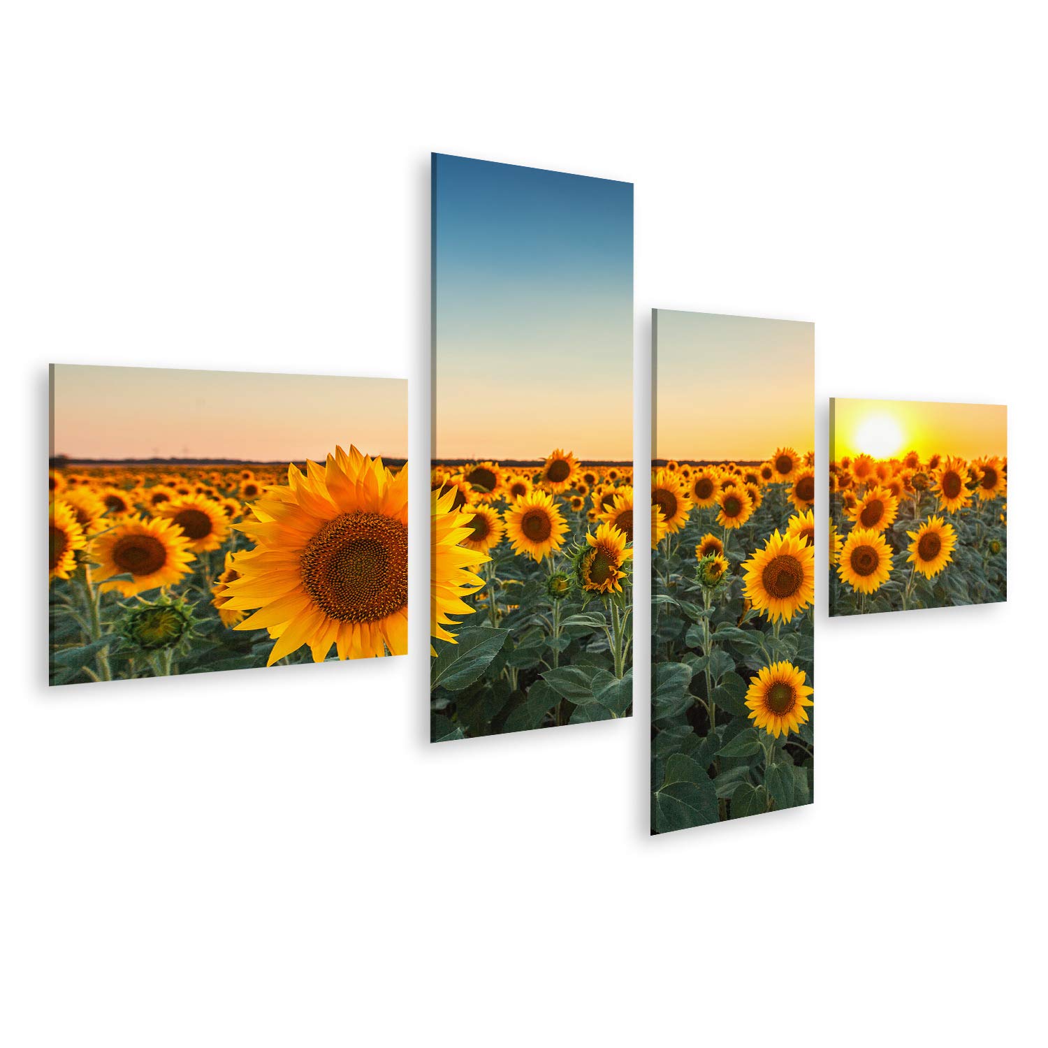 islandburner Quadro su tela Campi di girasoli al tramonto Quadri Stampe Immagini Murale Decorazione da parete