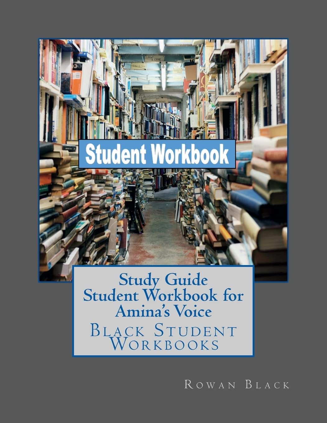 Study Guide Student Workbook for Amina's Voice: Black Student Workbooks