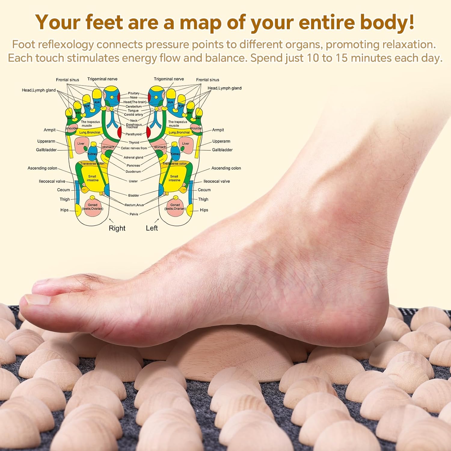 Meifuly Foot Massage Mat, Wood Feet Massage Pad, Stand Up Massage Pad Ideal for Home, Office, Diameter 19.7inches