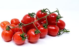 Cocktailtomaten am Strauch, aromatisch, schnittfest und gut, 500 Gramm Packung im Vergleich