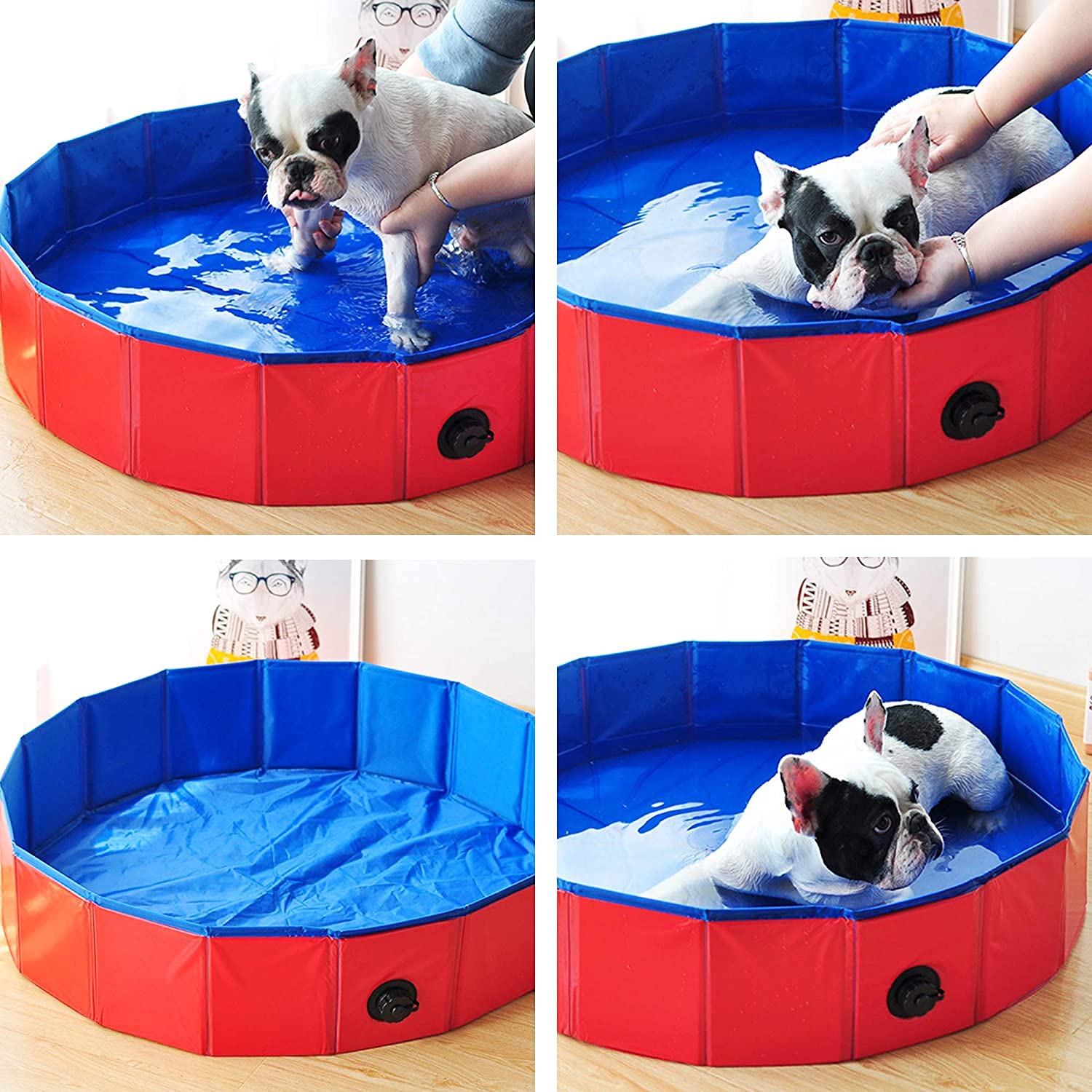 Piscina Pieghevole Per Cani E Gatti In PVC Antiscivolo – Vasca Portatile Per Animali 120x30 Cm, Resistente E Facile Da Montare (Colore Casuale)
