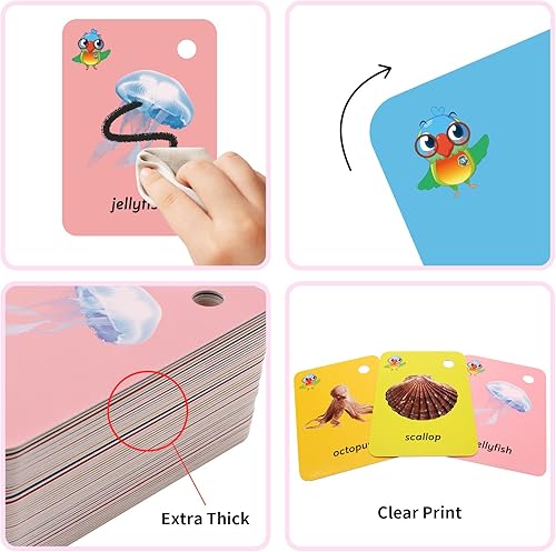 Miniatura 46 de 52 tarjetas flash de frutas para niños pequeños, palabras visuales con imágenes, tarjetas flash para jardín de infantes, actividades de aprendizaje