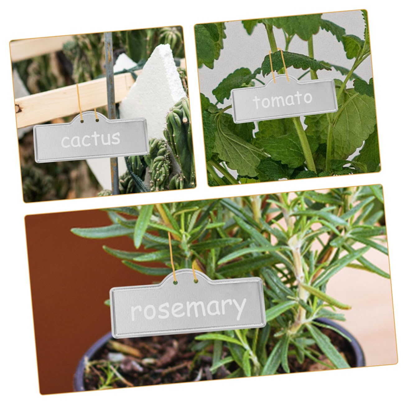 TOYANDONA 5 Sätze Pflanzenschild Lustige Pflanzenmarkierungen Gartenarbeit Hängende Pflanzenetiketten Schilder Für Gemüse Gartenschilder Kräutermarkierungen Für Den Garten 10 Stück * 5