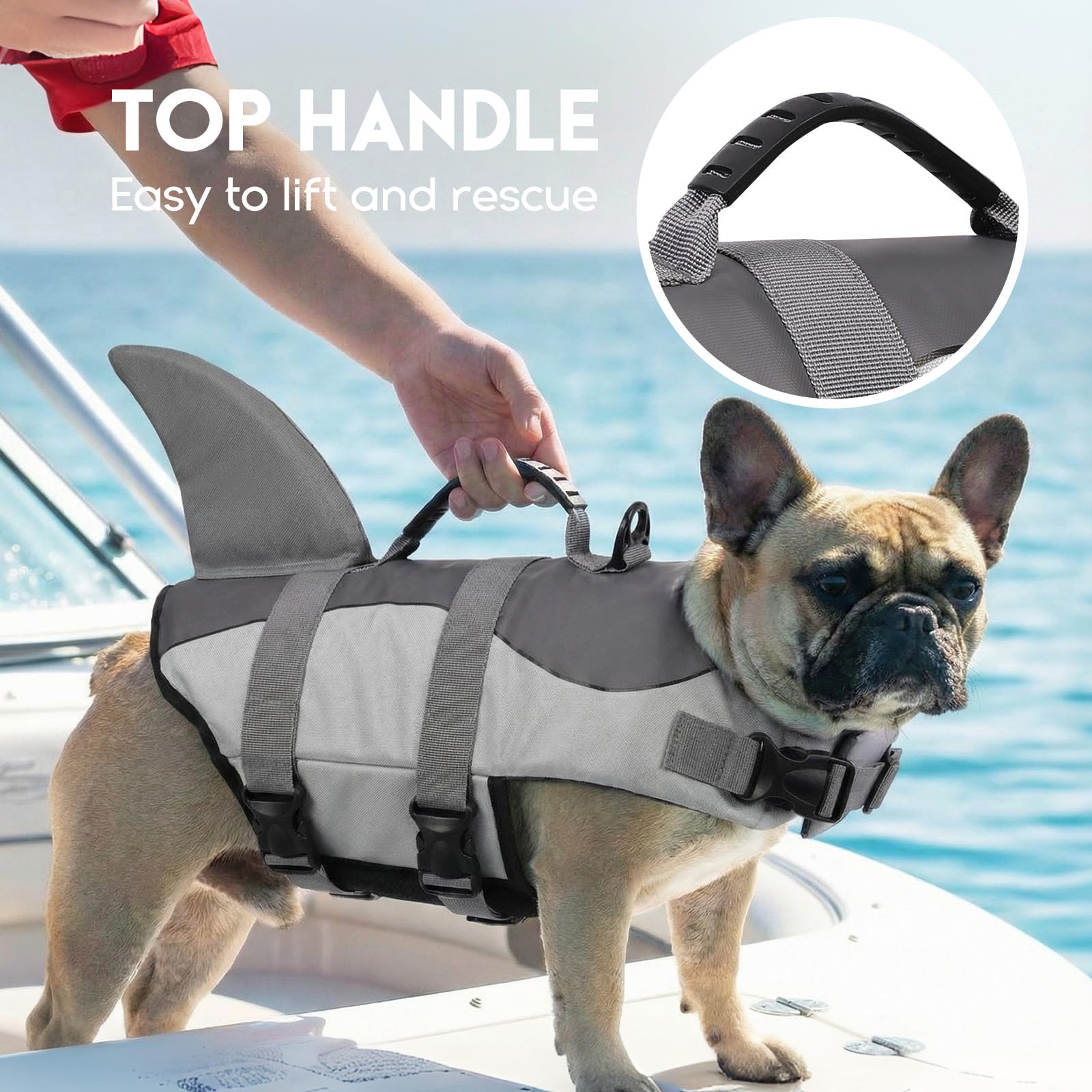 ASENKU Salvavidas para Perros M,Chaleco Salvavidas Perro Pequeño Tiburon con Asa - Chaleco de Flotación para Mascotas con Bandas Reflectantes, Seguridad en el Agua para Natación, Paseos en Barco