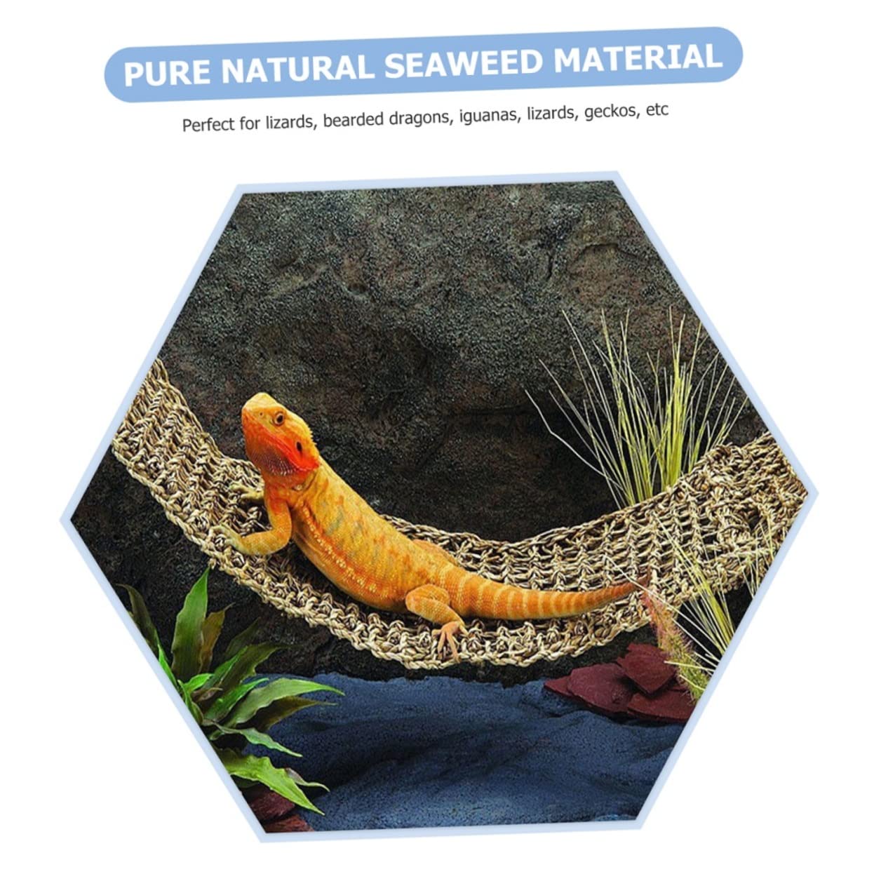 GANAZONO 2piezas Hamacas De Césped para Reptiles Accesorios para Tanques De Dragón Barbudo Colgantes para Iguanas y Geckos Soporte Doble Sin Ventosas