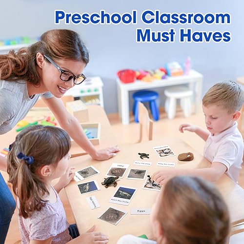 Miniatura 6 de MEROCO Ciclo de vida de tortugas para niños, tarjetas flash de animales con figuras para niños pequeños, juguetes de ciencia para niños de 3 a 5