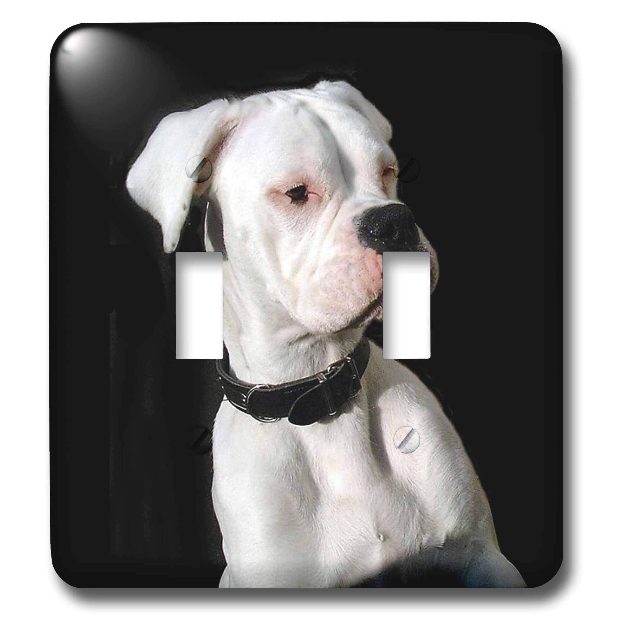 Interrupteur double White Boxer décoratif en céramique durable
