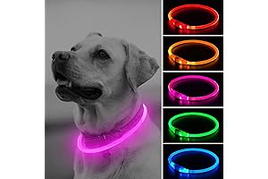 LED Christmas Light Up Dog Collar