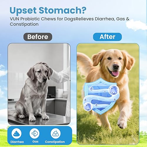 Miniatura 4 de Probióticos para perros, suplementos de apoyo digestivo, salud intestinal, flora, probióticos masticables suaves para perros para malestar