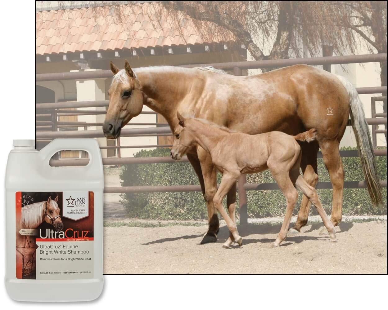 UltraCruz® Equine Bright White Szampon dla koni, 1 galon