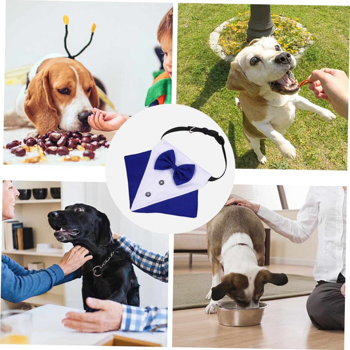 Housoutil 3sätze Hundebandana Mit Schleifenkragen Dreieckiges Halstuch Für Hunde Aus Stilvolles Hunde-Accessoire Für Outdoor Und Partys Pflegeleicht Und Atmungsaktiv