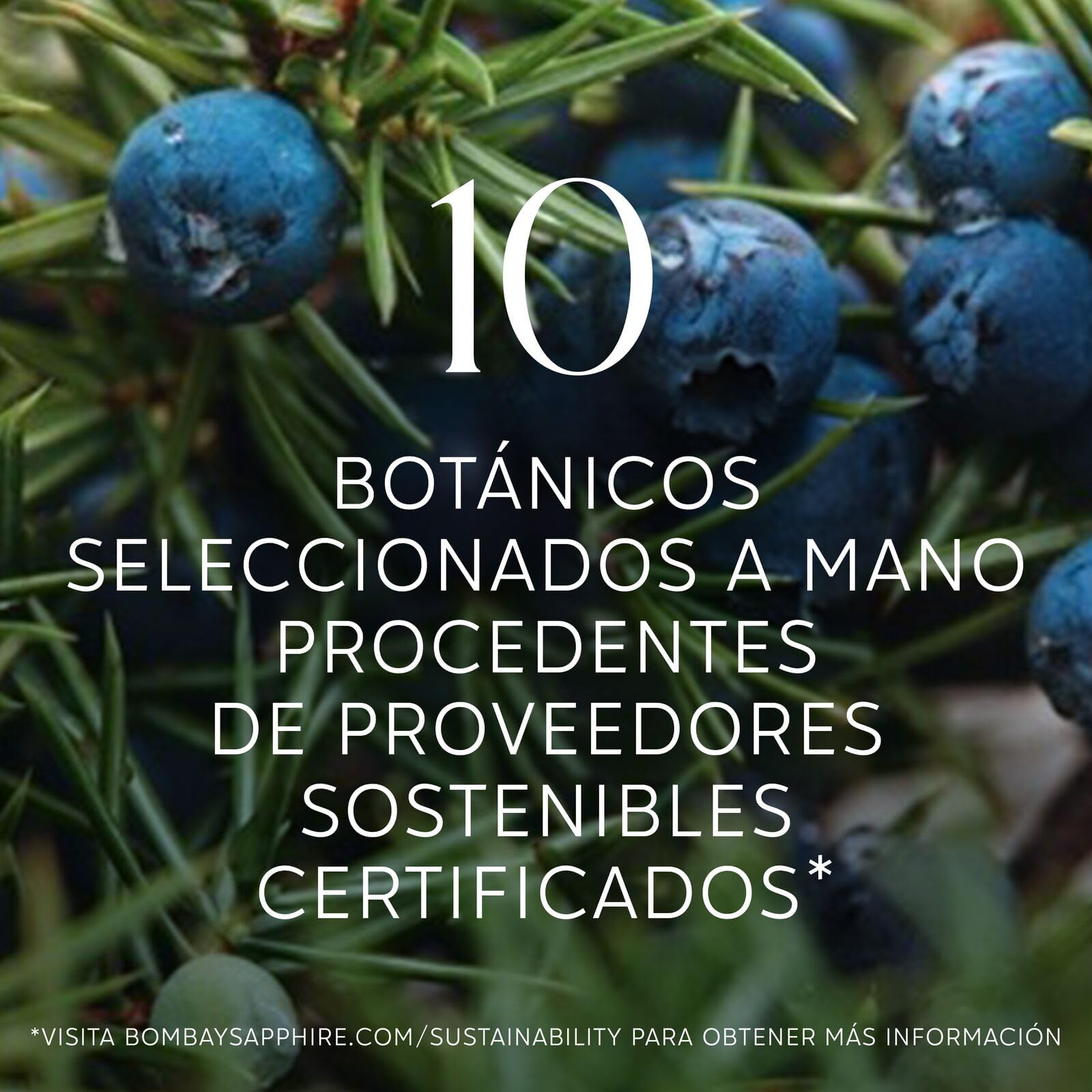 Latas de cóctel Bombay Sapphire Gin & Tonic listo para tomar, 6,5% Vol., 25 cl / 250 ml (pack de 12), bebidas alcohólicas con London Dry Gin 100% infusionada al vapor