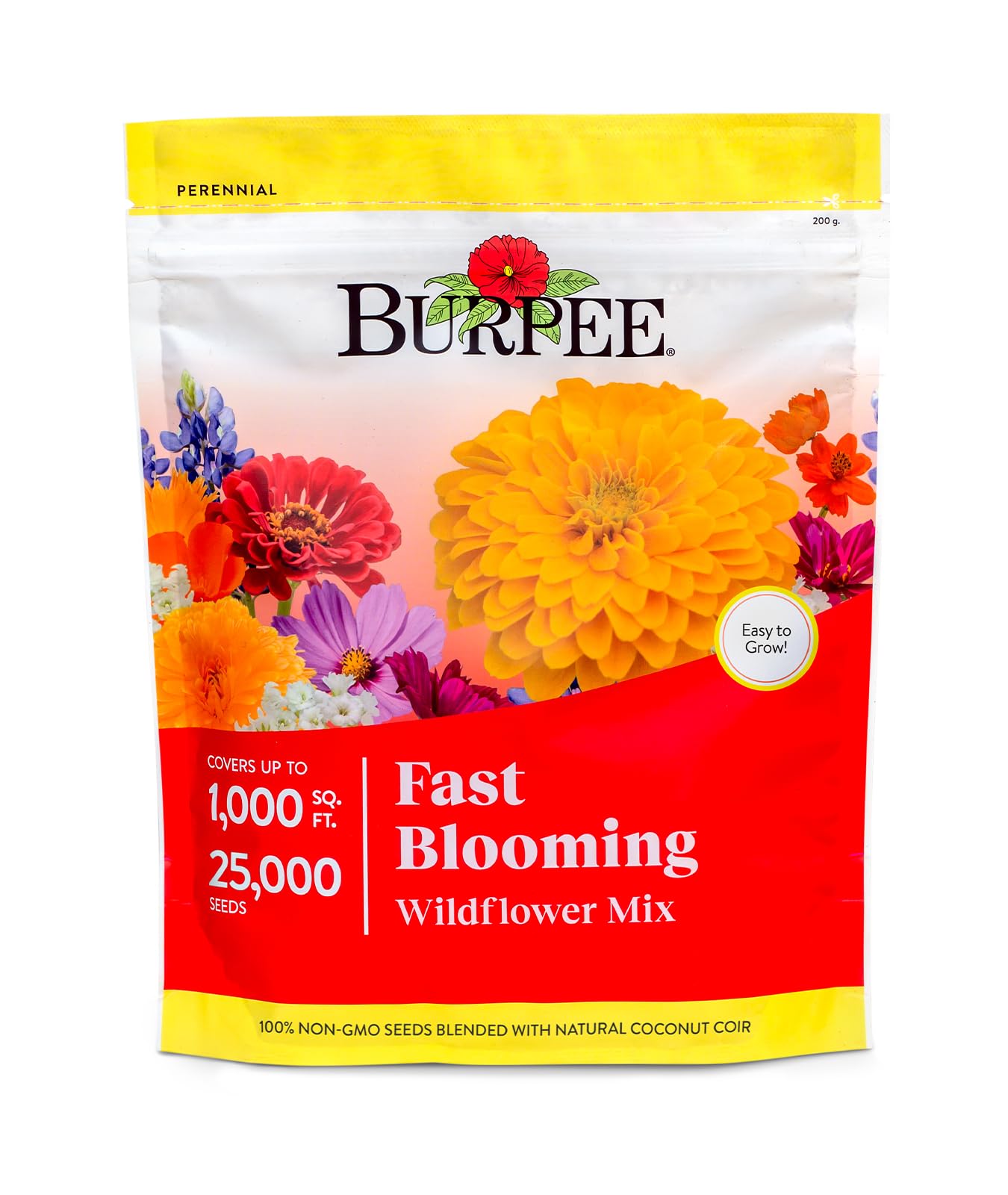 Amazon.com : Burpee Fast Blooming 25,000 Non-GMO Planting, 1