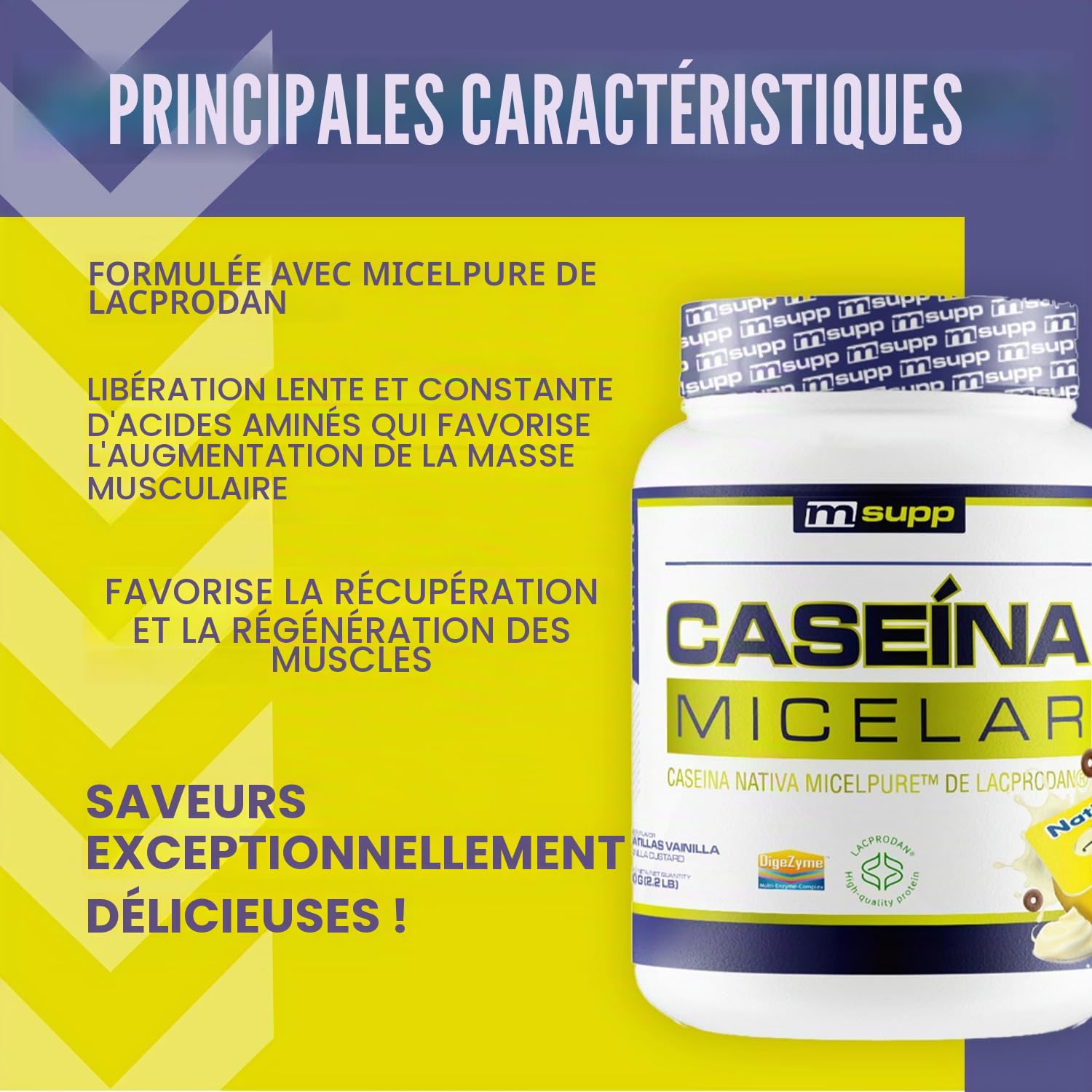 Masmusculo - Caséine Micellaire 1 kg - Protéine de Caséine - Masse Musculaire - Libération Prolongée d’Acides Aminés - Récupération Post-Entraînement - Goût Custard