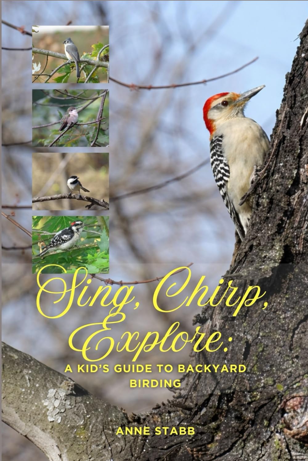Sing, Chirp, Explore: A Kid's Guide to Backyard Birding
