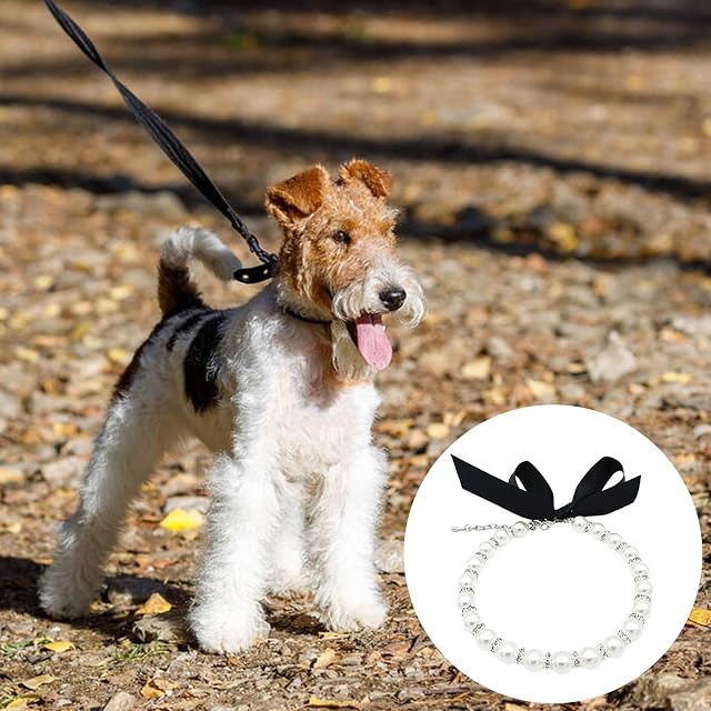 Foto 4 de 7 de Ruilonghai Collar para Mascotas con Perlas