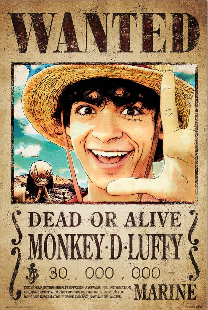 ONE PIECE WANTED モンキー・D・ルフィ Amazon.com: One Piece - Netflix TV Show Poster (Wanted: Monkey D