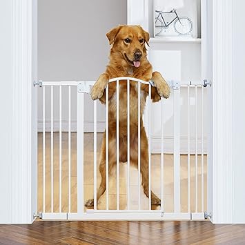 InnoTruth Wide Baby Gate for Dogs, Auto Close Pet Gate 29? to 39.6? Width with 30? Height, Tall Safety Coverage for Stairs, Doorways, Bedrooms, Wall Pressure Mount