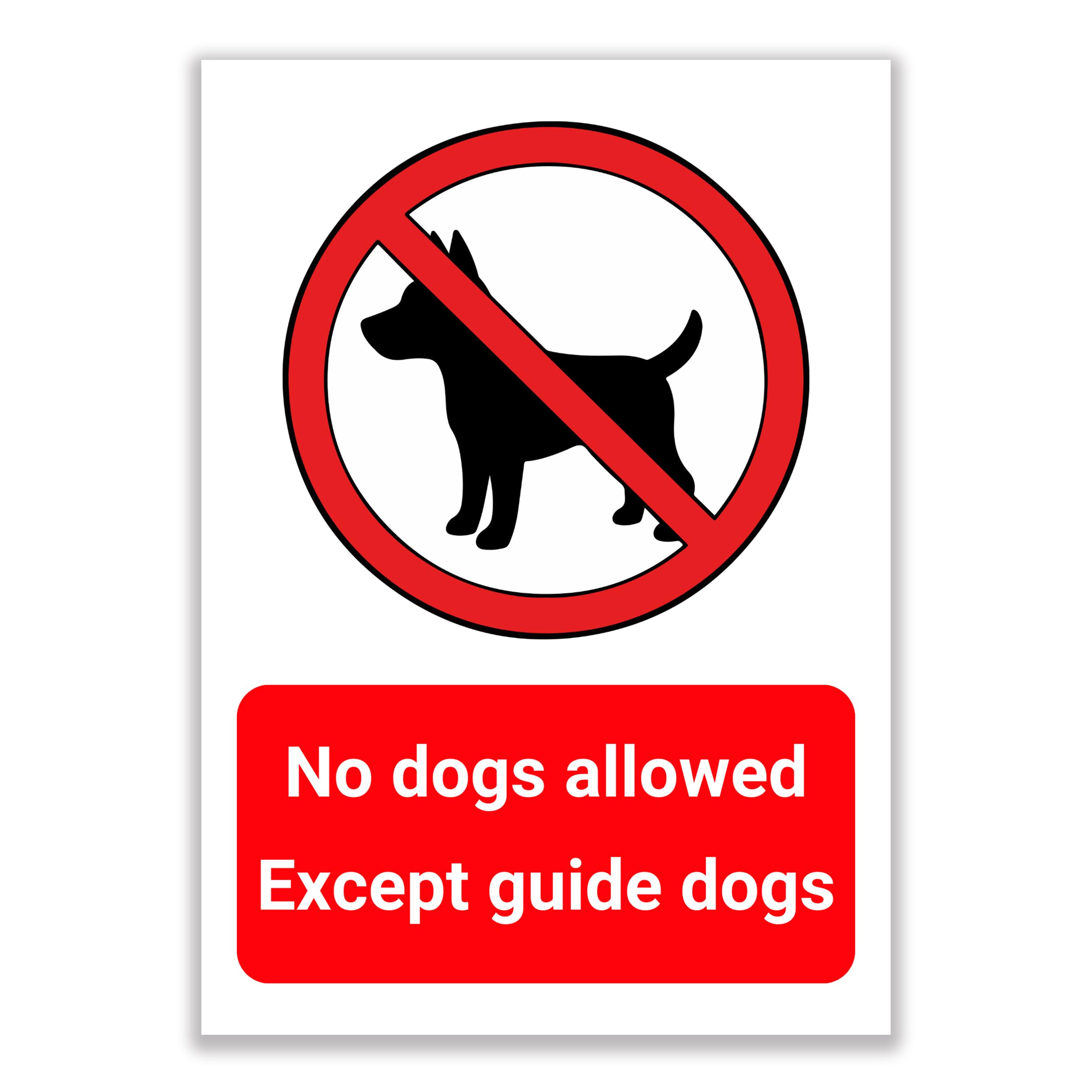 LP Lifestyle No Dogs Allowed Sign – Except Guide Dogs | Rust-Free Waterproof & Weatherproof PVC No Dogs Warning Sign for Buildings & Public Areas No.340 (A4 (210mm x 297mm) – No Holes)